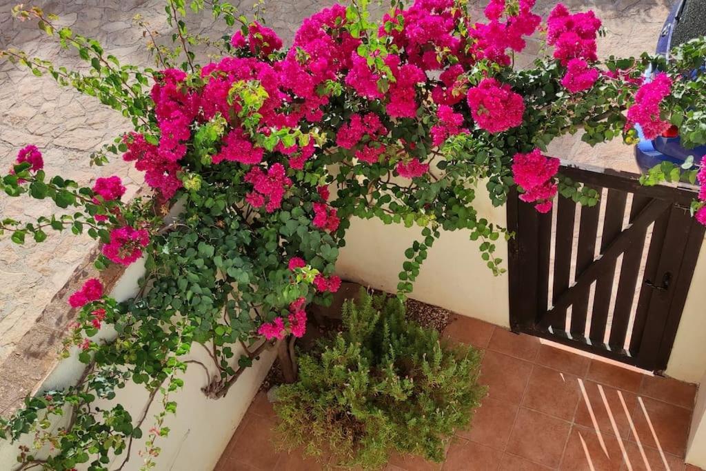 Casa Con Piscina En San Jose Sotillo Eksteriør billede