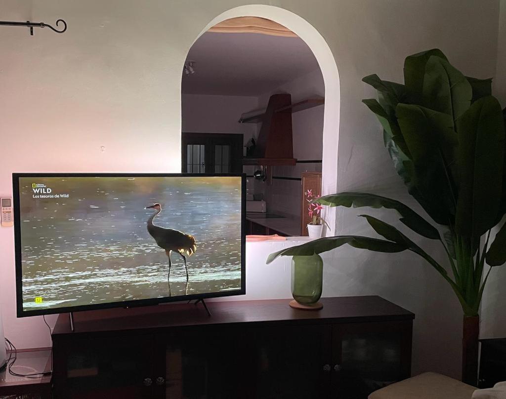 Casa Con Piscina En San Jose Sotillo Eksteriør billede